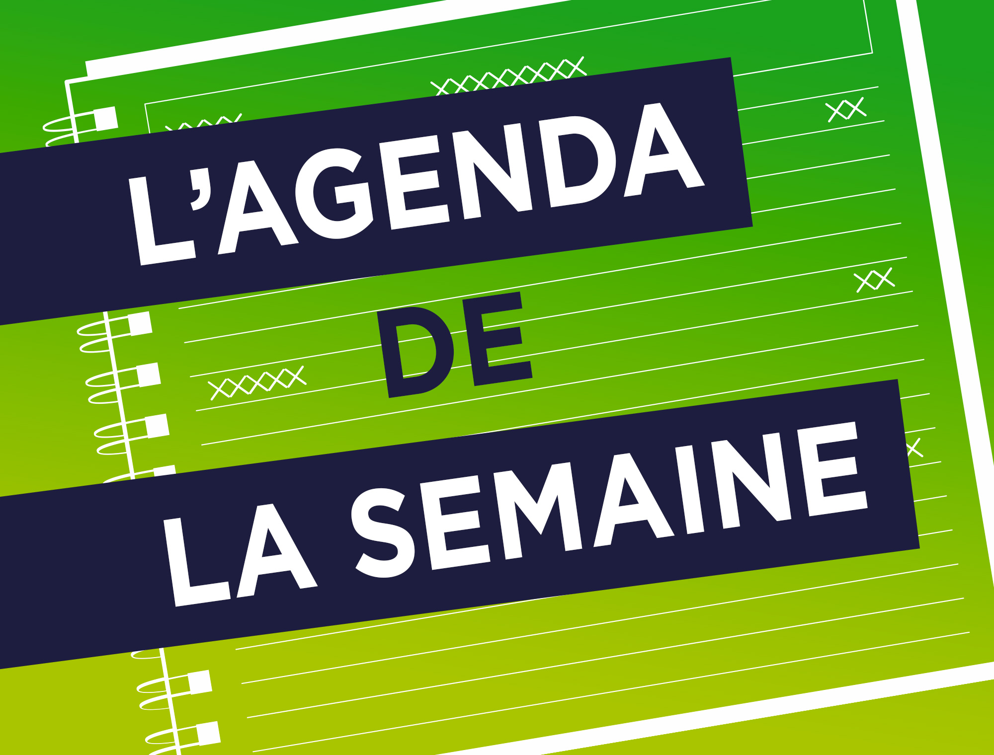 Ils n'attendent plus que vous....