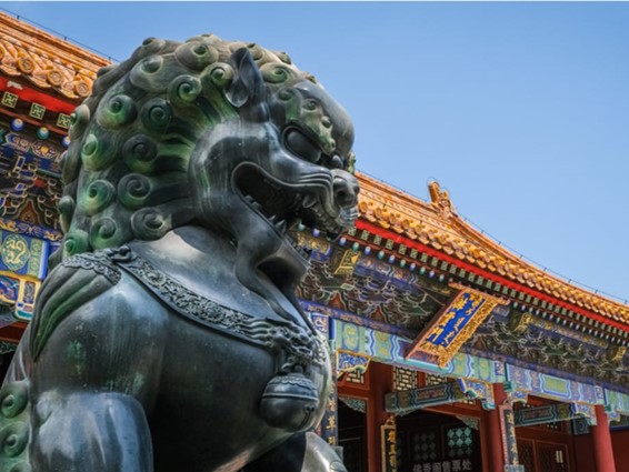 🧧 Cet investissement que les investisseurs adorent détester…