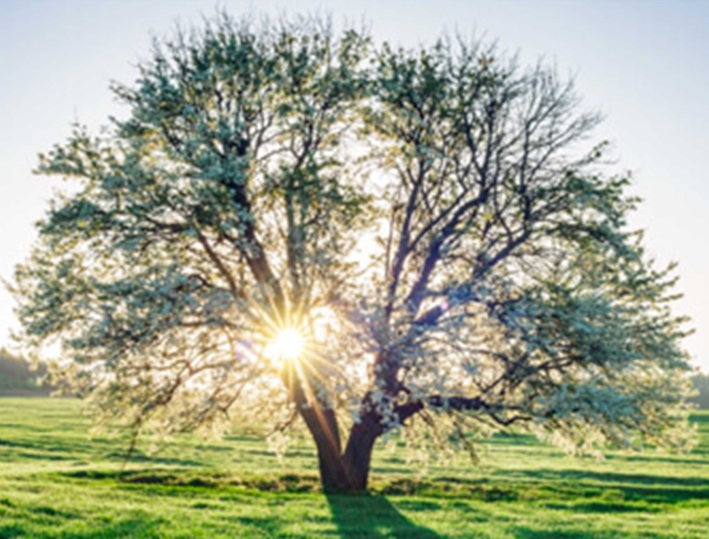 👥 Il est l'un des plus connus dans la gestion de patrimoine et il a bien changé…