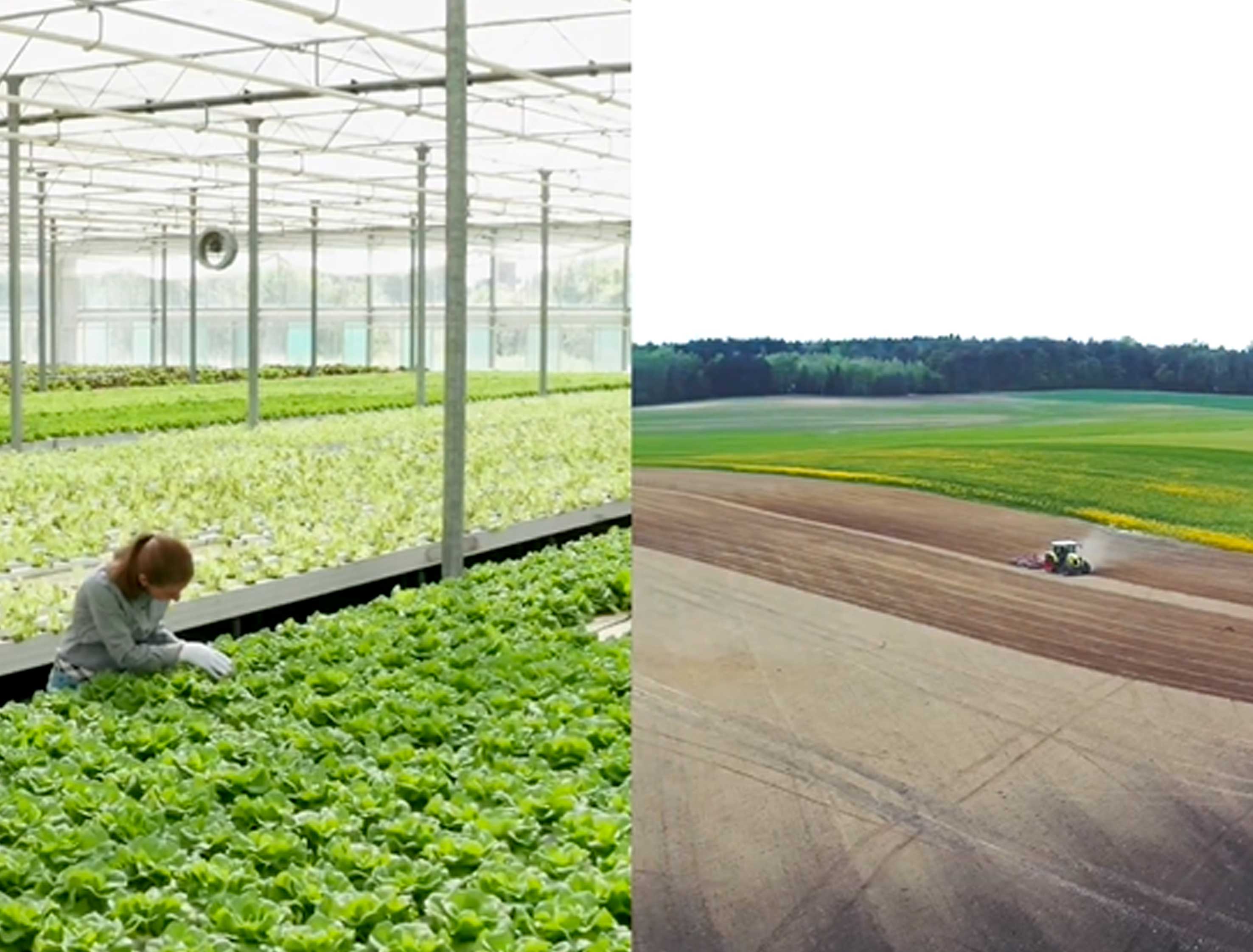 🌱 Comment identifier les acteurs qui cultivent le terreau de l’agriculture de demain ?