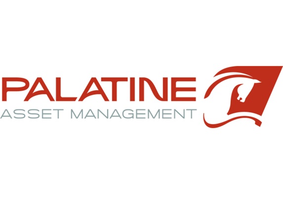 Palatine AM recrute une pointure...