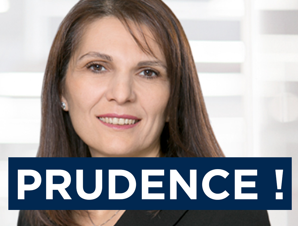 Une stratégie pour résister à la baisse prévisible des bénéfices...