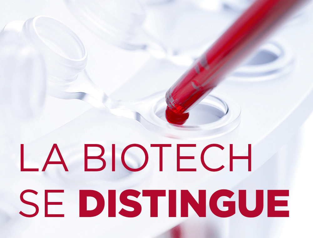 Un secteur en plein forme dans un marché fébrile...