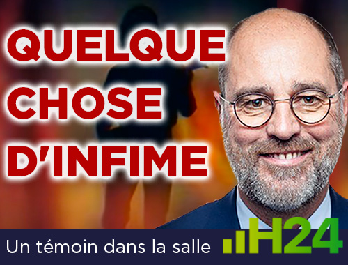 Il suffira d’un cygne...