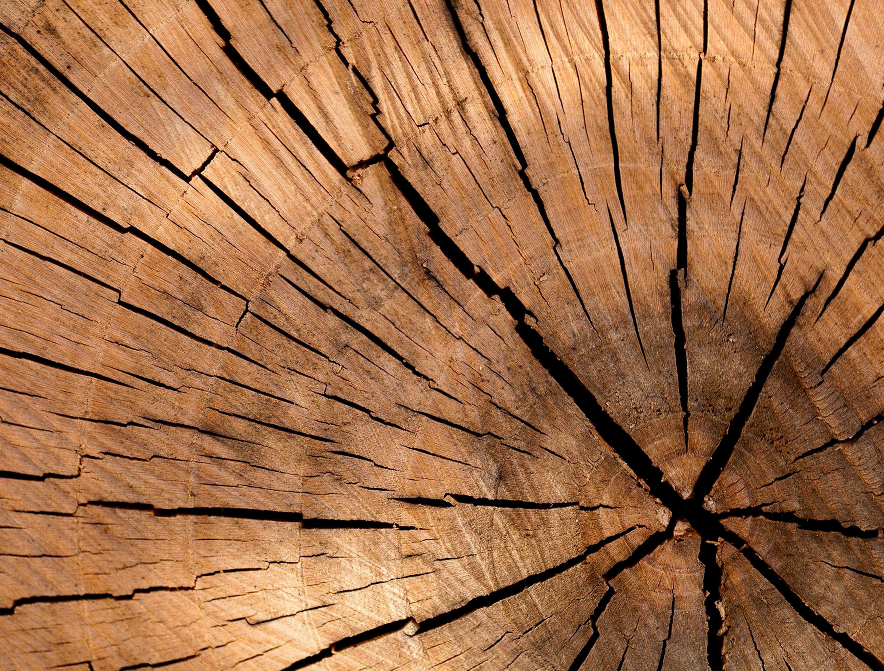 🌲 Ce fonds d’actifs réels coche les cases : label ISR, article 9, thématique long-terme, profil value…