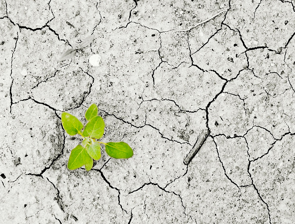 Cette société de gestion vous donne de bonnes raisons d'investir dans la transition énergétique...